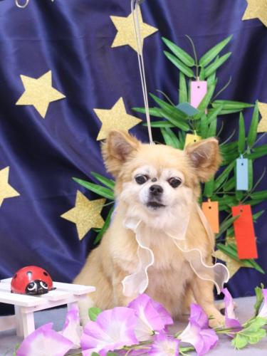 20230713ゆずちゃん